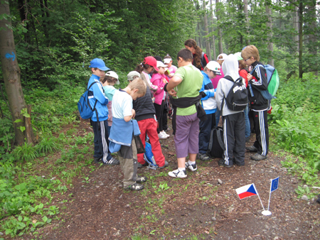 2AZalesnimistrasidylky (26)